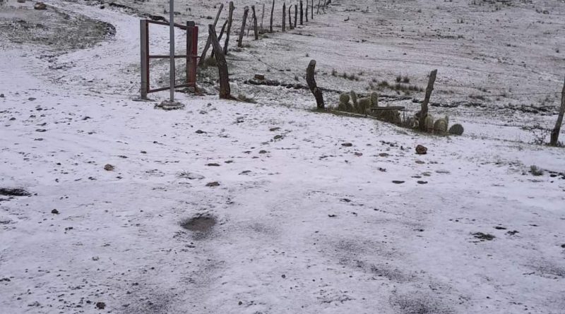 Reportan caída de agua nieve en el sur de Nuevo León