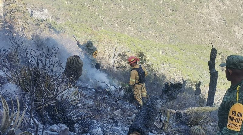 Incendio en la sierra de Zaragoza  se extiende a 80 hectáreas